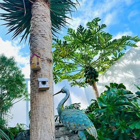 Appartement La Casita Del Drago, Sol Y Relax