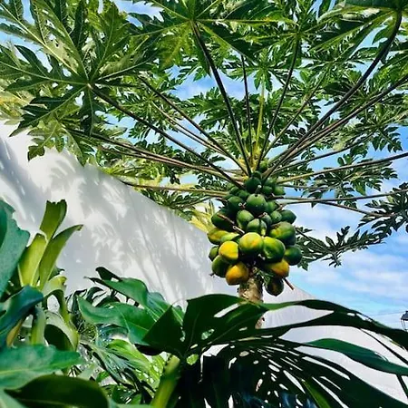 Apartamento La Casita Del Drago, Sol Y Relax Los Realejos